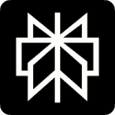 Perplexity AI App